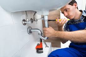 Plumbing System Maintenance in Freeland, MI